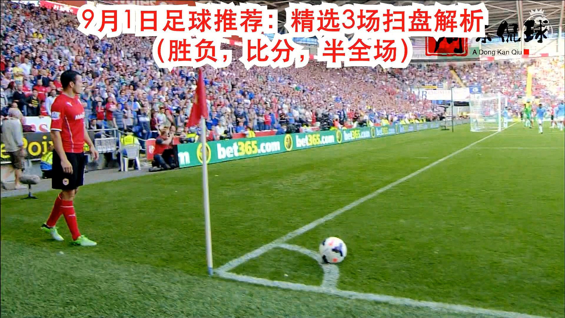 管家最准一码一肖100%，精选解析解释落实