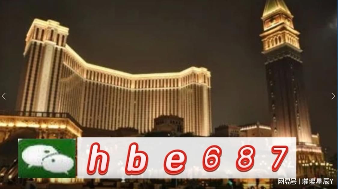 2024新澳门正版免费正题,精选解释解析