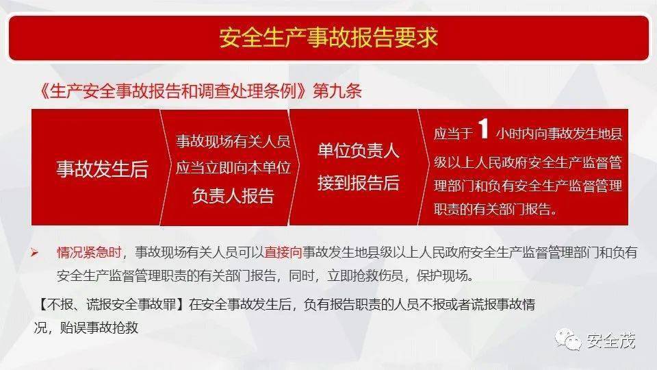 王中王493333WWW马头诗，全面释义解释落实