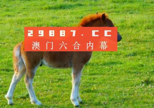 奥门一肖一码一中一,精选解释解析